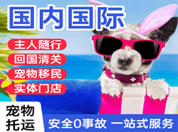 景德镇罗家机场托运国际宠物托运 【国